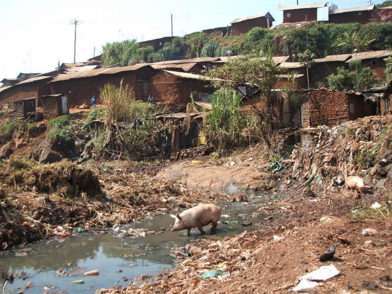 Flying toilet in Nairobi